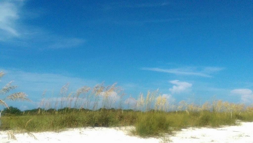 Pag Beachhouse Rentals St. Pete Beach Extérieur photo